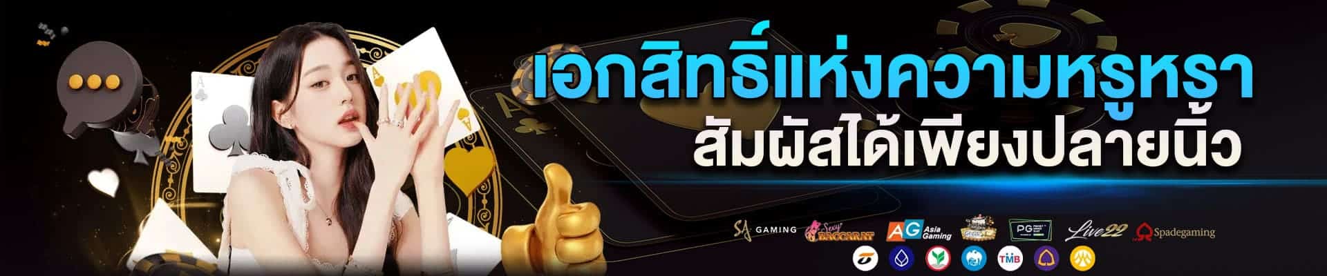 แบนเนอร์เว็บพนัน